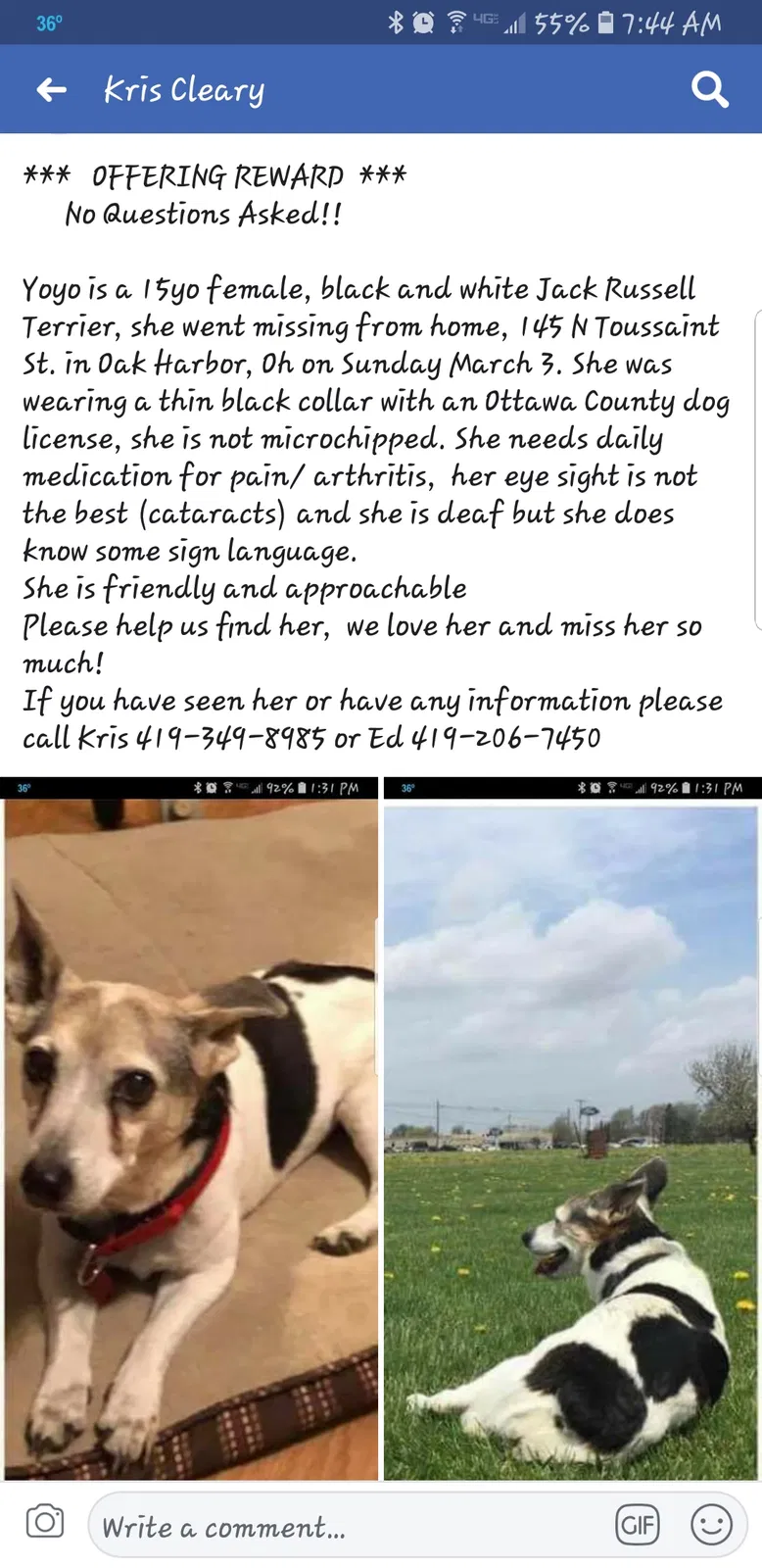 Lost dog in Oak Harbor, OH, 43449