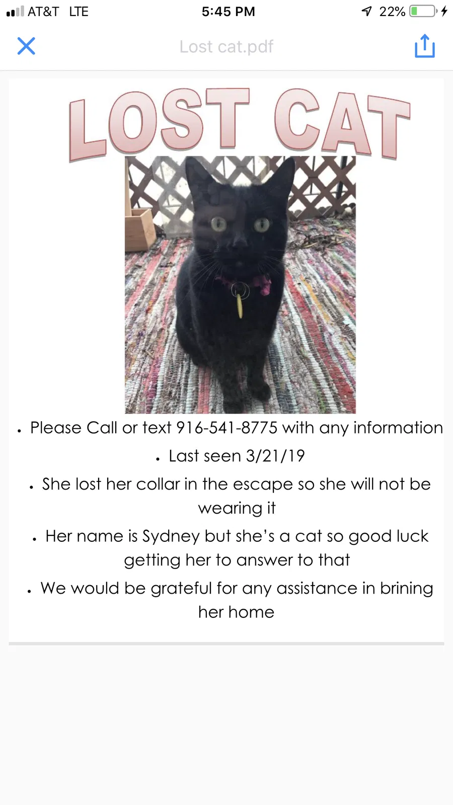 Lost cat in Clarksburg, CA, 95612