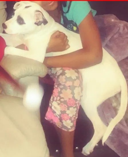 Lost dog in Kansas City, KS, 66102
