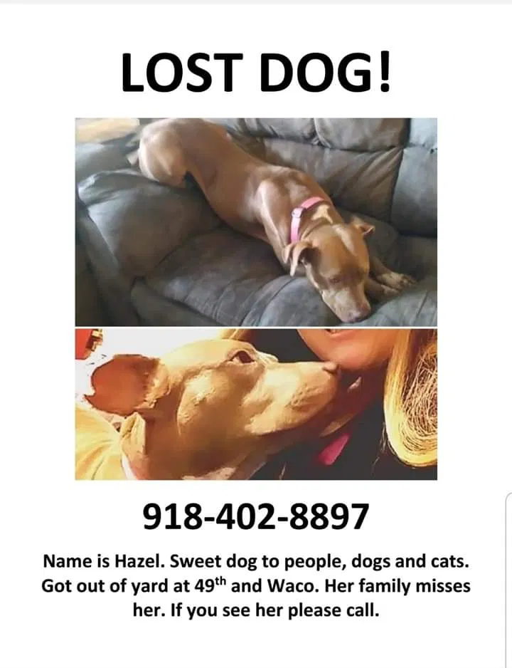 Lost dog in Tulsa, OK, 74107