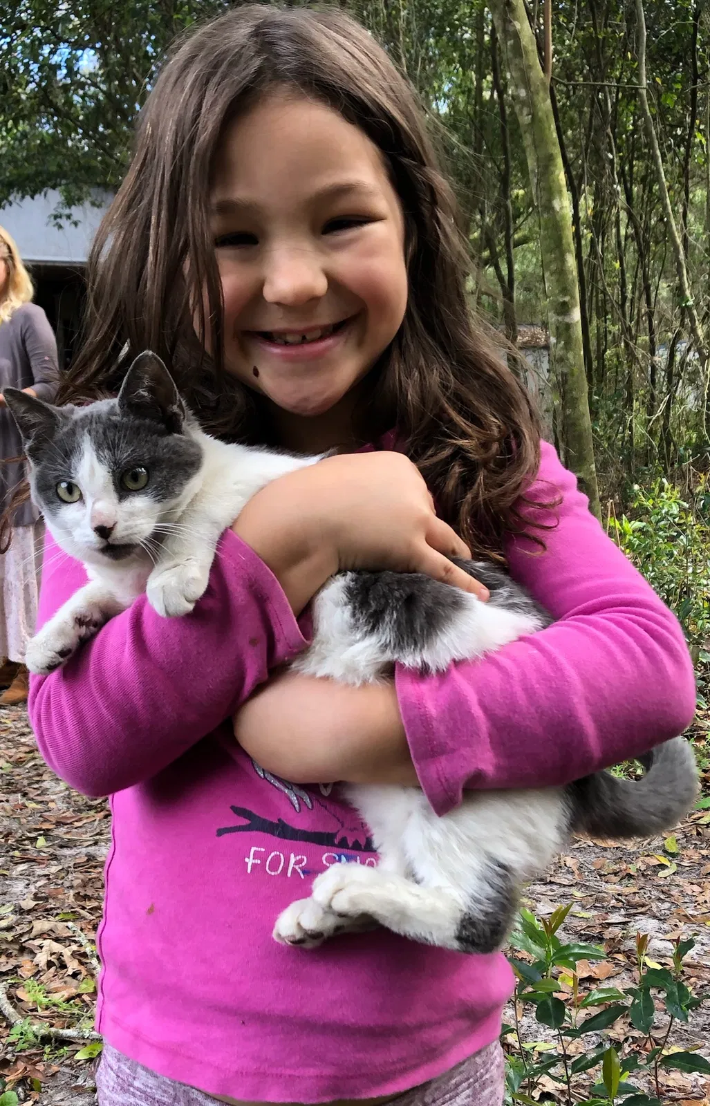 Lost cat in Gainesville, FL, 32601