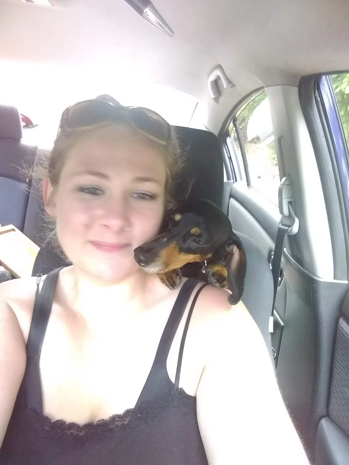 Lost dog in Lebanon, OR, 97355