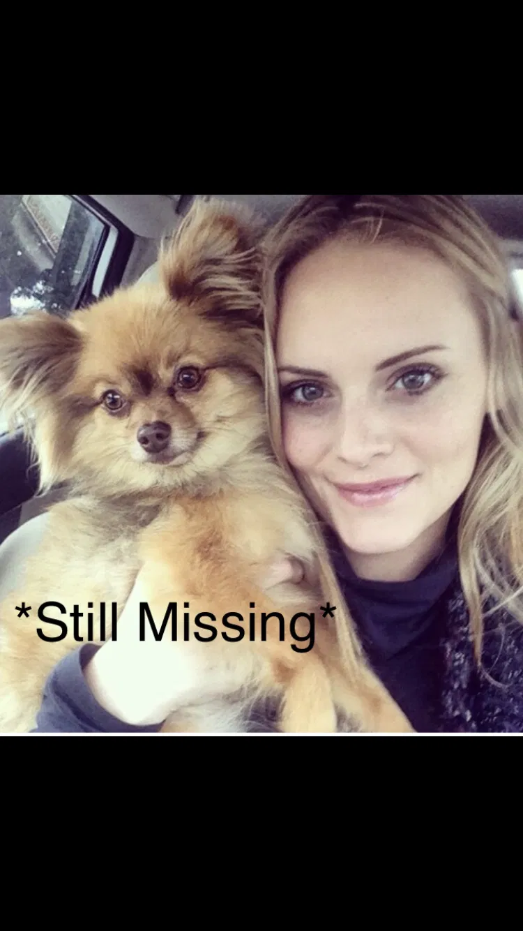 Lost dog in Baytown, TX, 77523