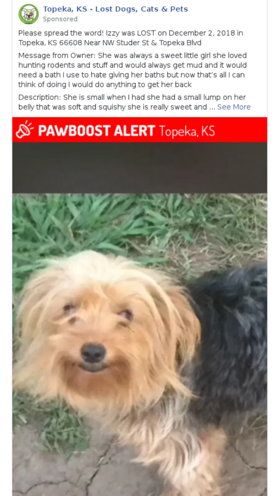 Lost dog in Topeka, KS, 66608
