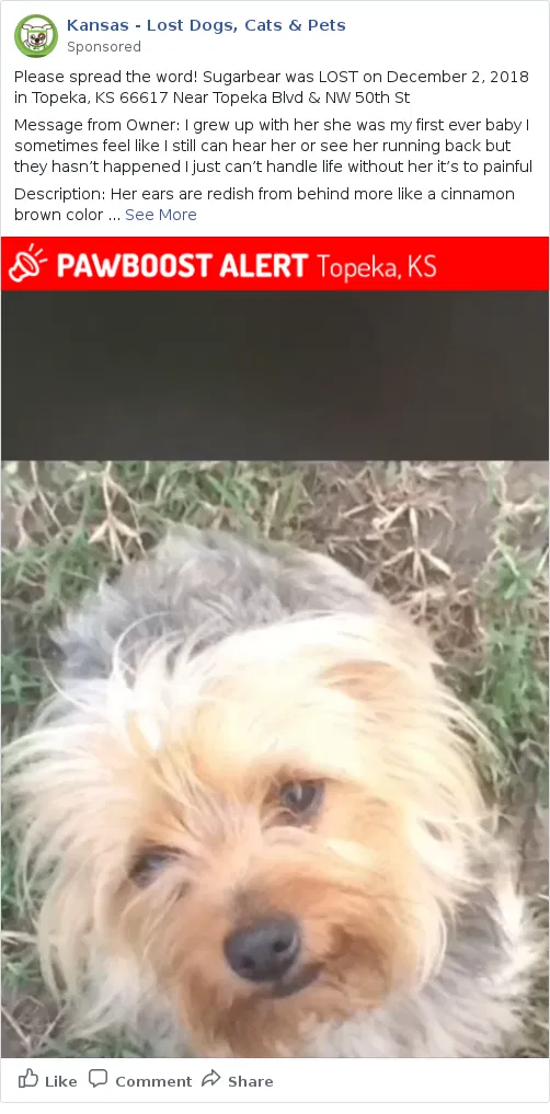 Lost dog in Topeka, KS, 66608