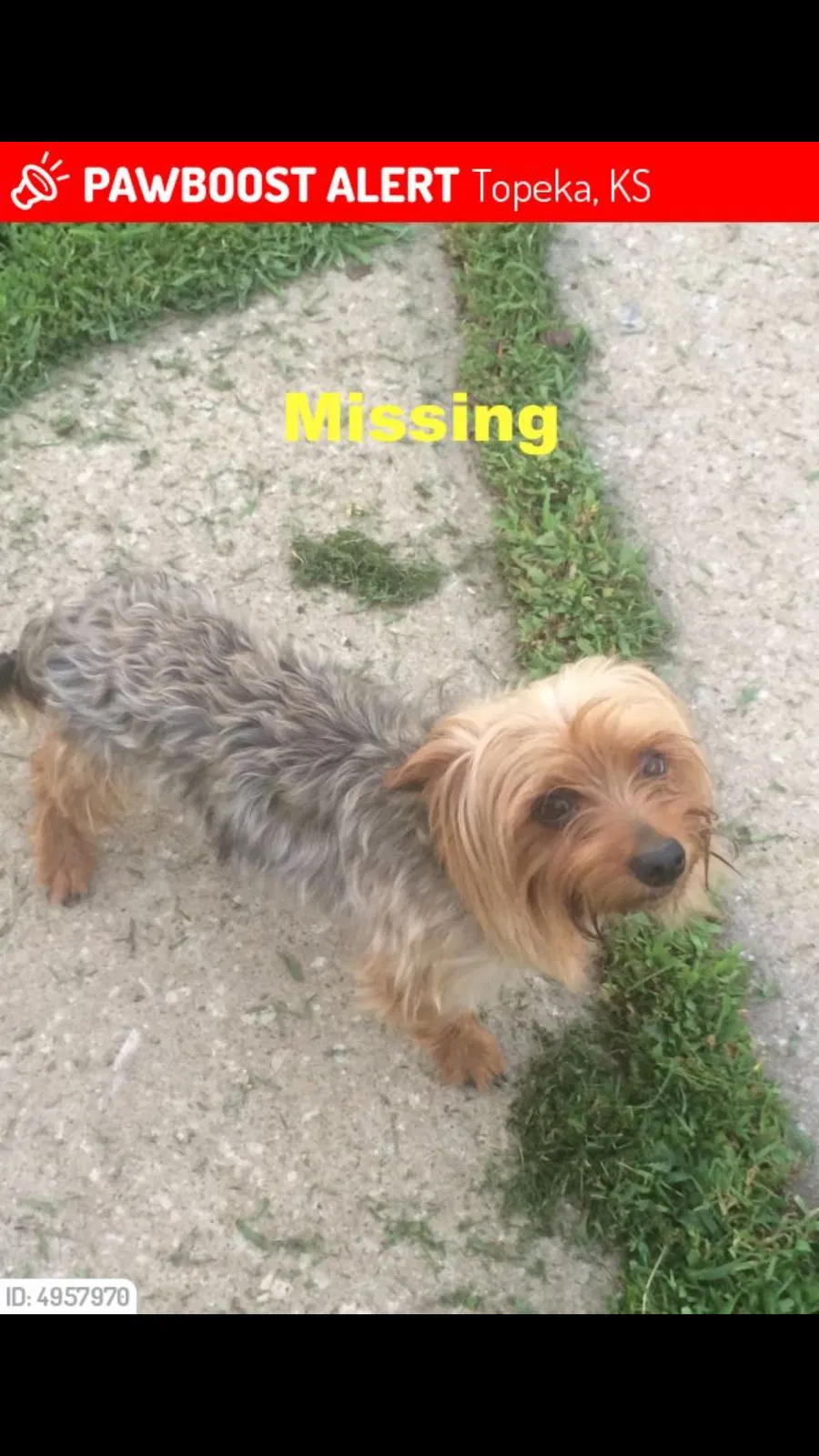 Lost dog in Topeka, KS, 66608