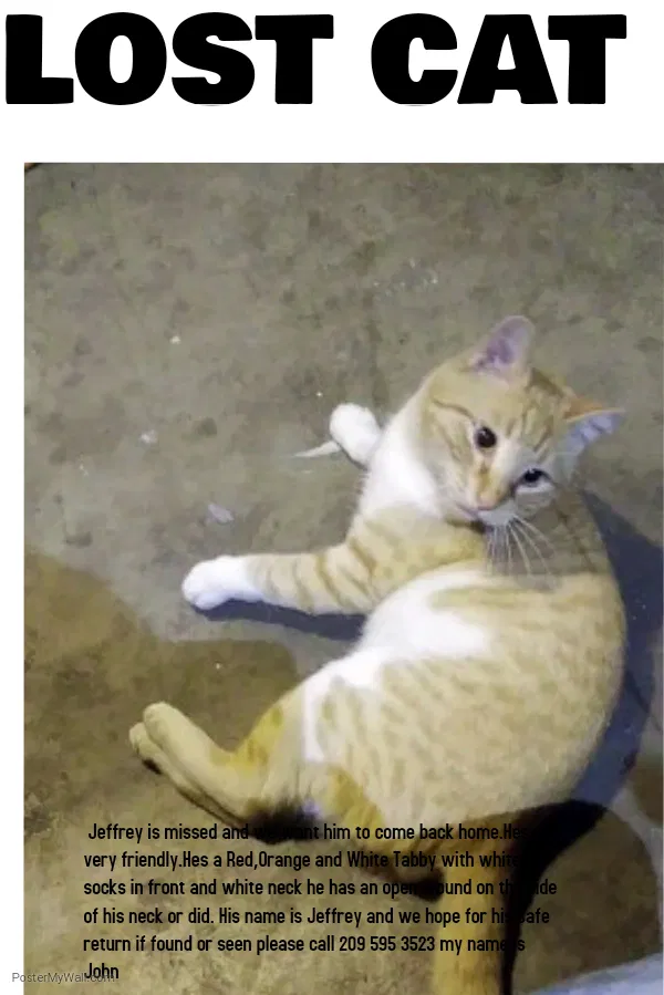 Lost cat in Ceres, CA, 95307