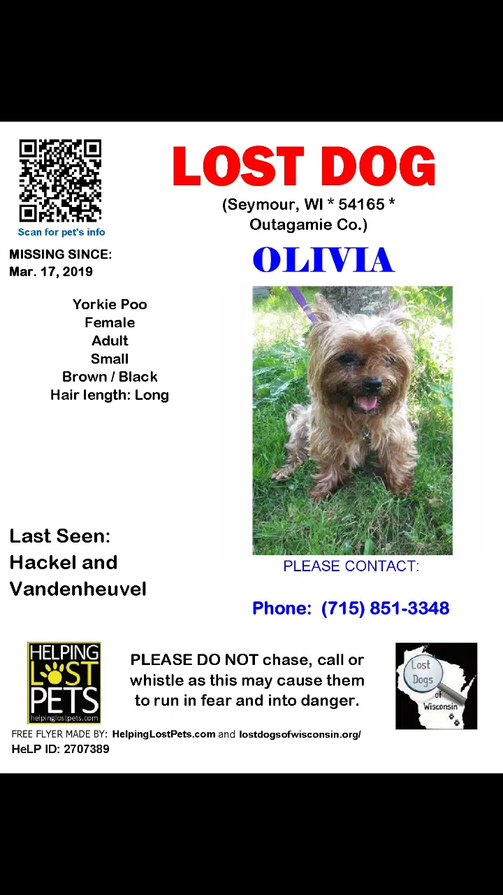 Lost dog in Seymour, WI, 54165