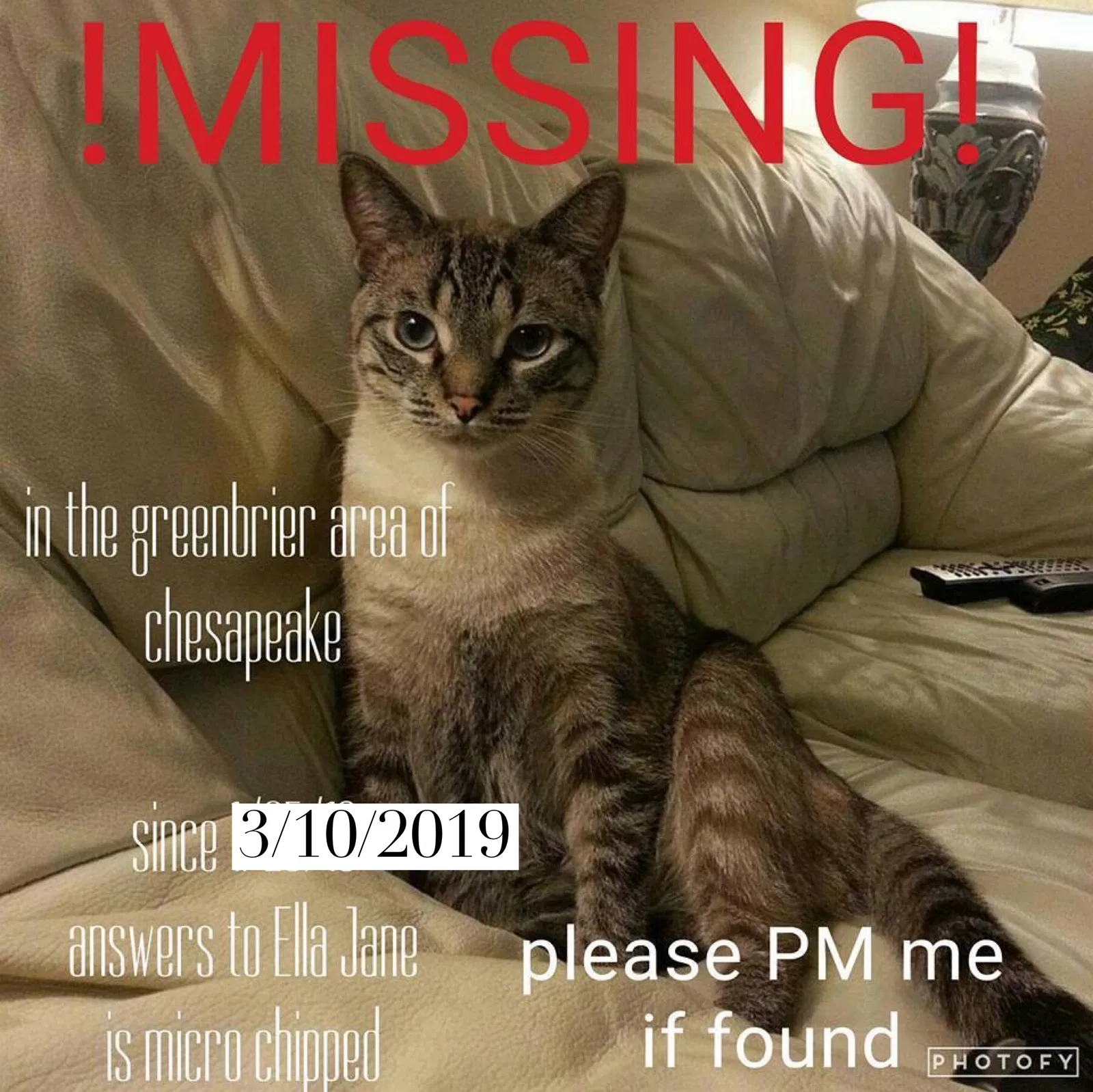 Lost cat in Chesapeake, VA, 23320