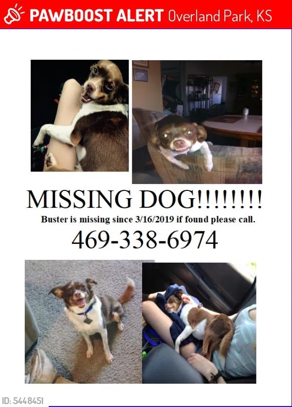 Lost dog in Leawood, KS, 66209