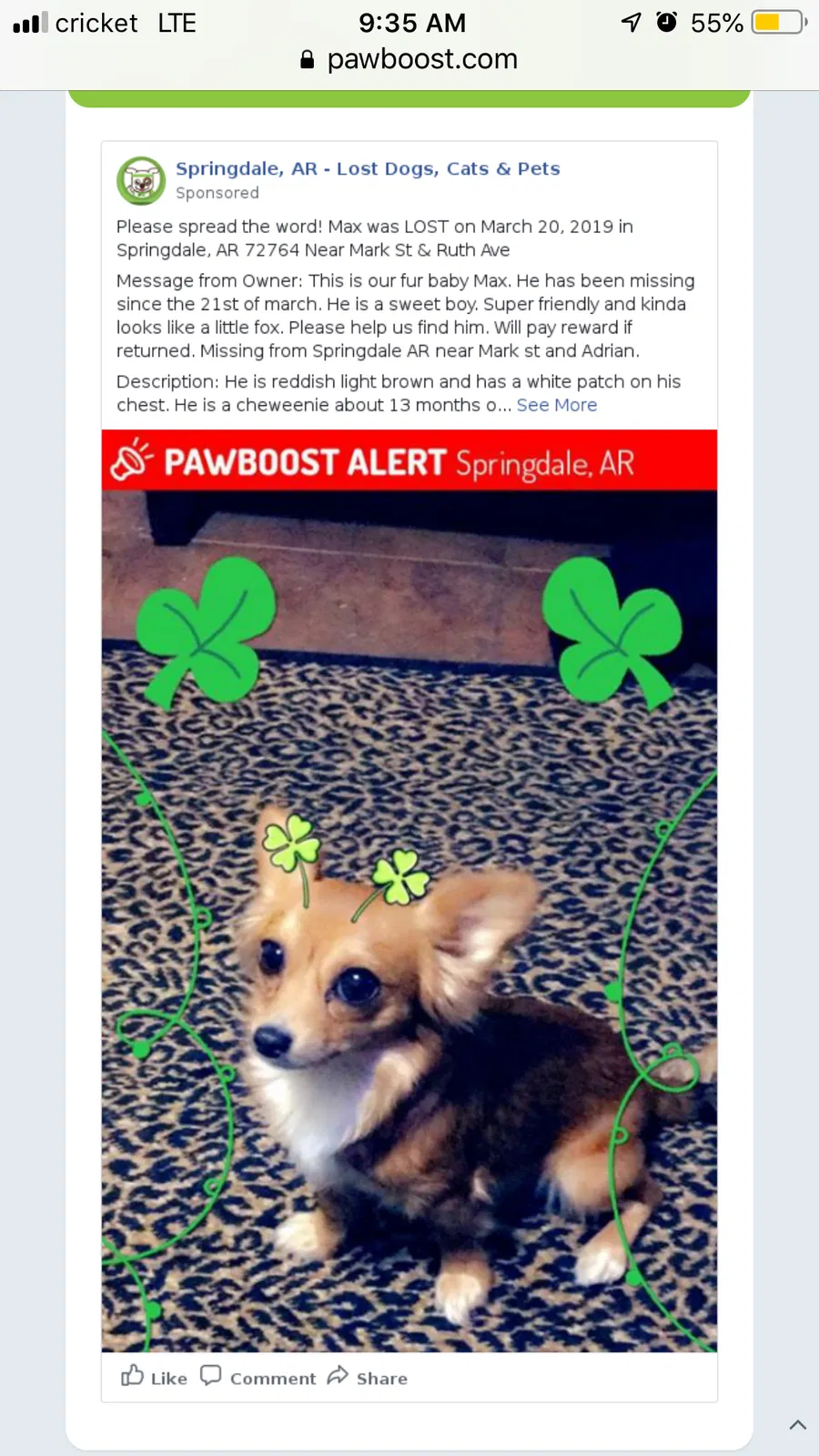Lost dog in Springdale, AR, 72764