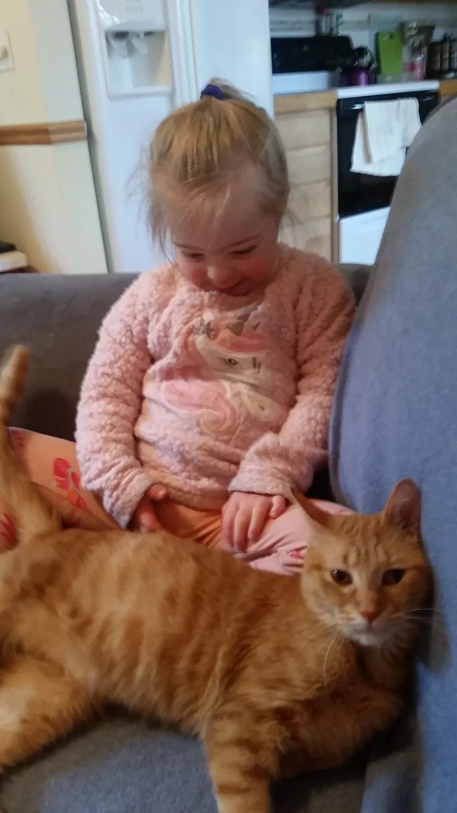 Lost cat in Saluda, NC, 28773
