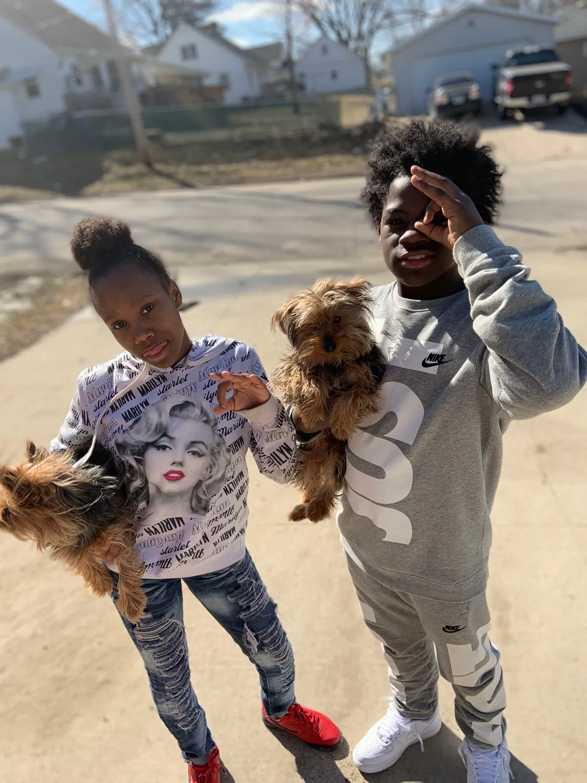 Lost dog in Hiawatha, IA, 52233