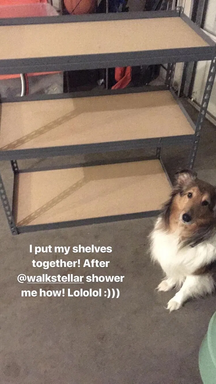 Lost dog in Broken Arrow, OK, 74012