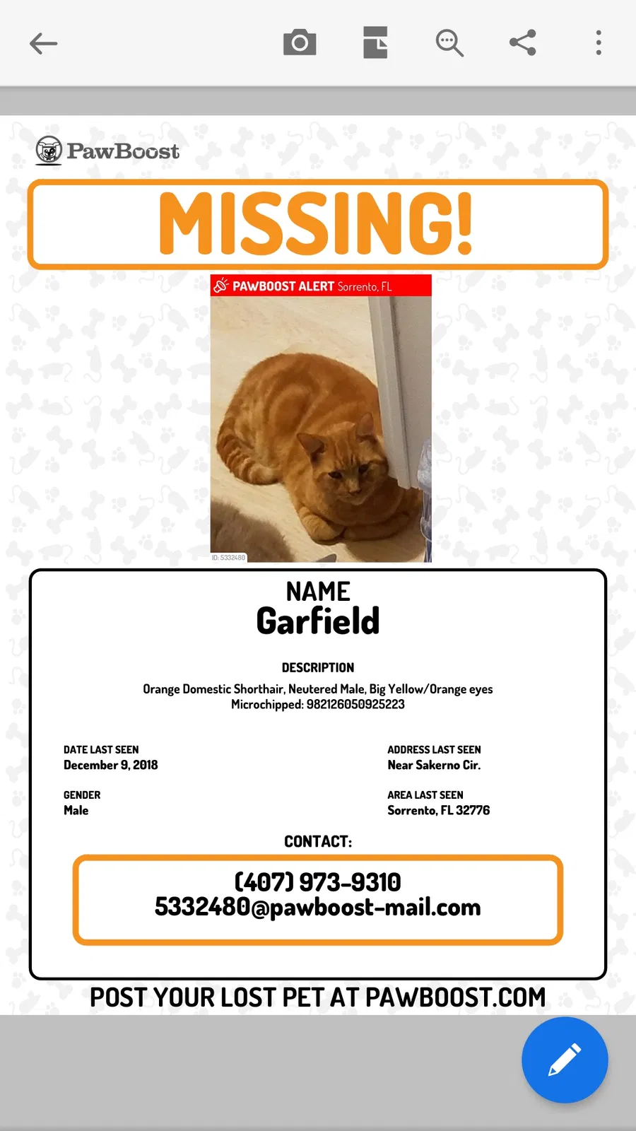 Lost cat in Sorrento, FL, 32776