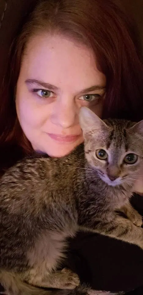 Lost cat in Bedford, TX, 76022