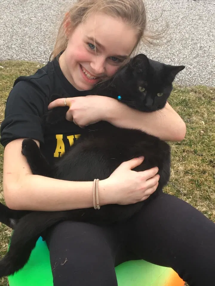 Lost cat in Avon Lake, OH, 44012