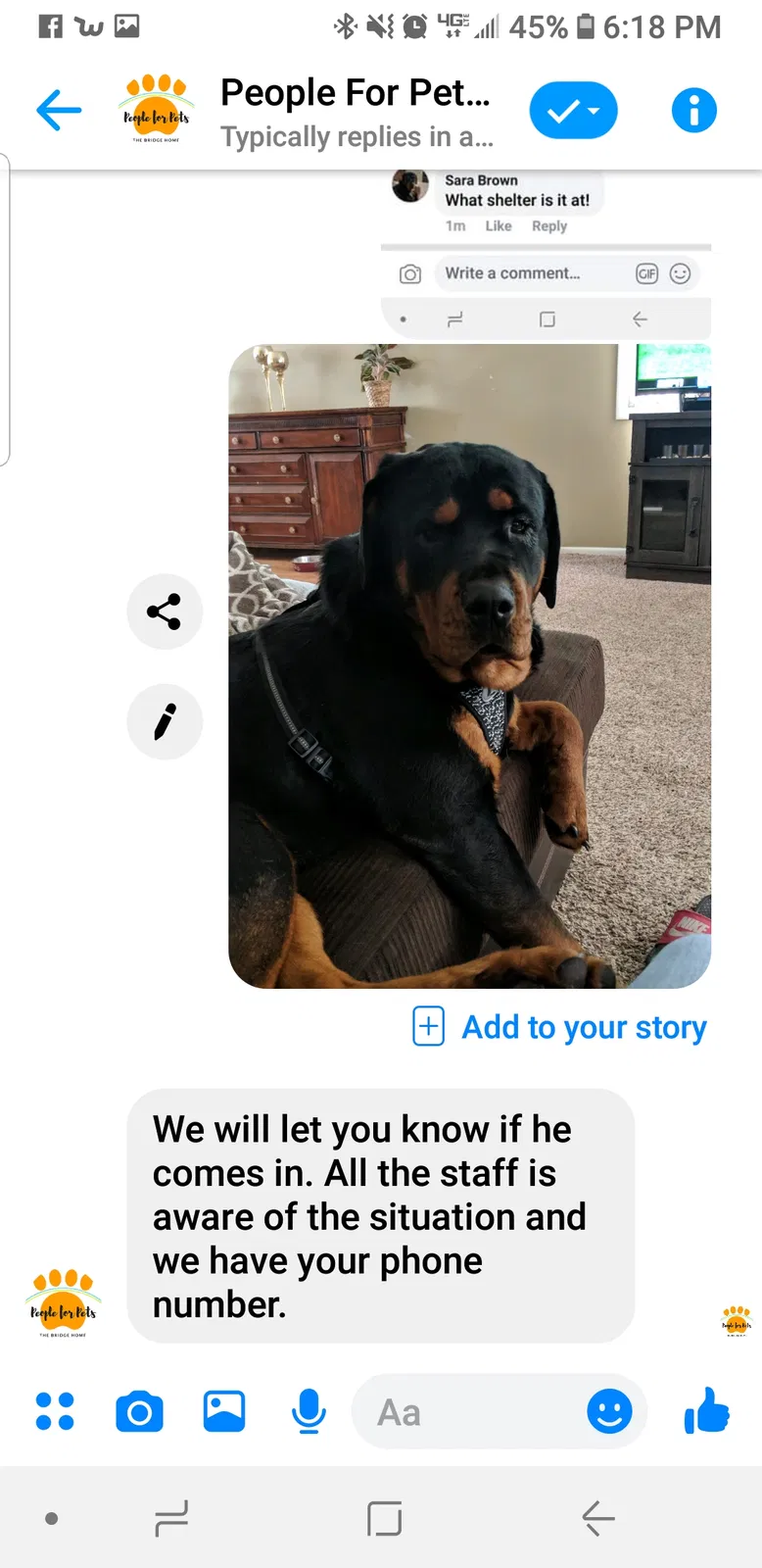 Lost dog in Paul, ID, 83347