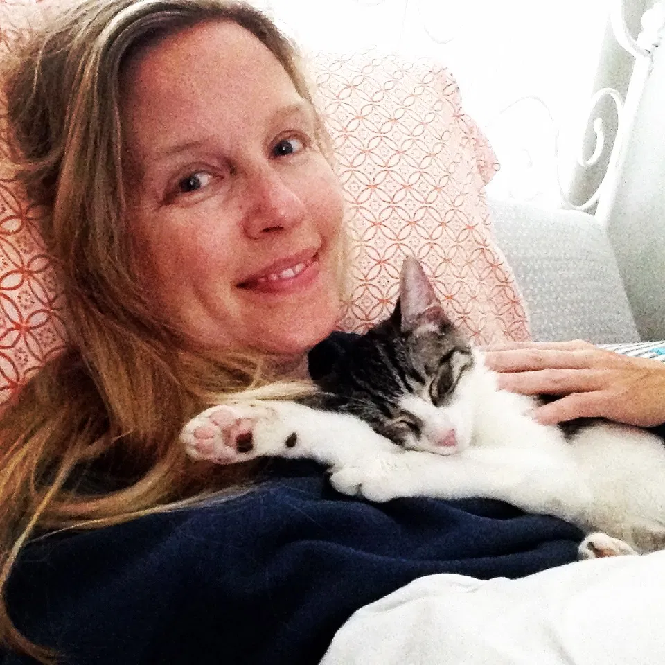 Lost cat in Lawndale, CA, 90260