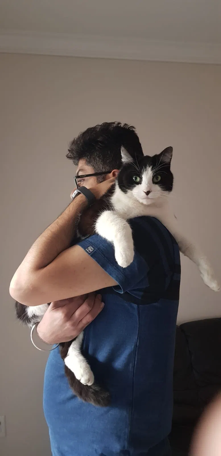 Lost cat in Charlotte, NC, 28226