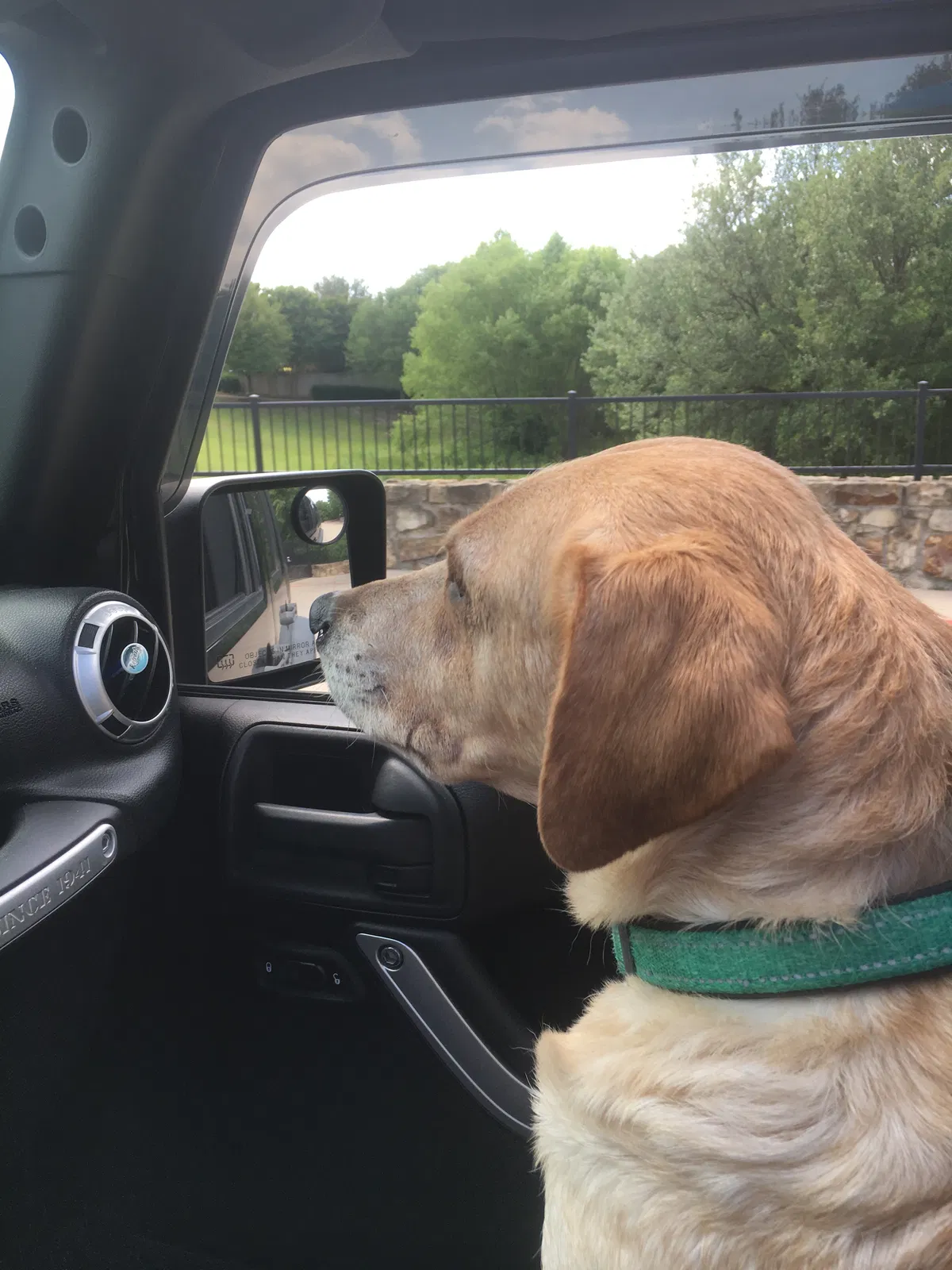 Lost dog in Mckinney, TX, 75069