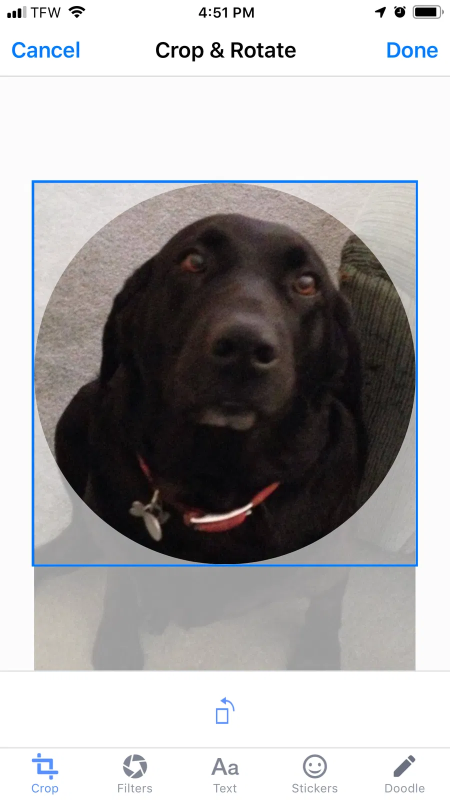 Lost dog in Winchester, KY, 40391
