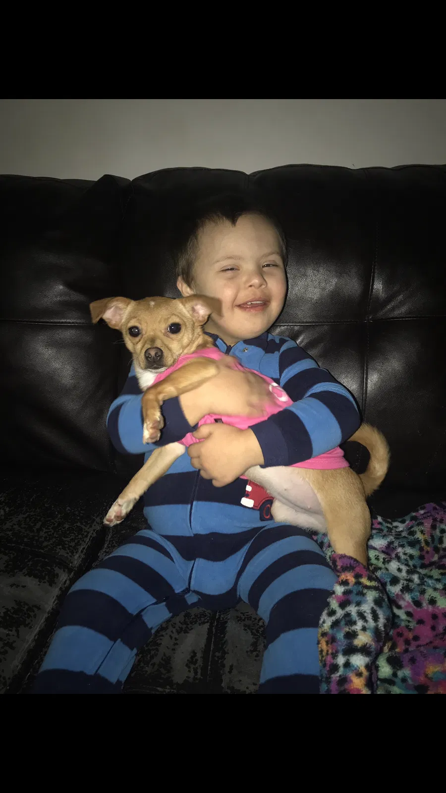 Lost dog in Greenwood, IN, 46142