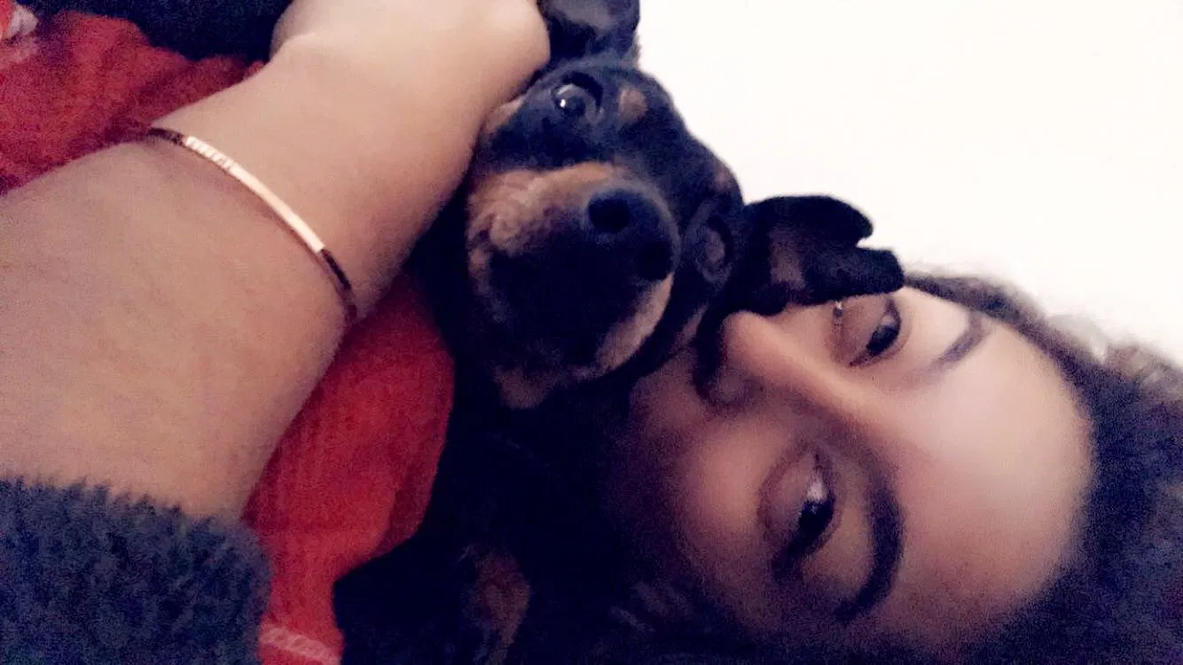 Lost dog in Ventura, CA, 93003