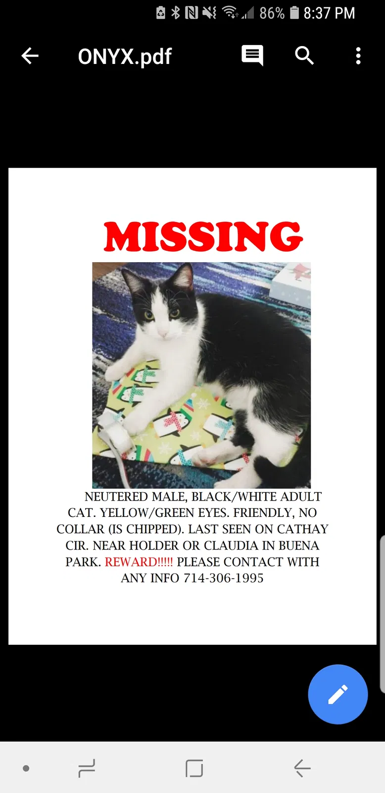 Lost cat in Buena Park, CA, 90620
