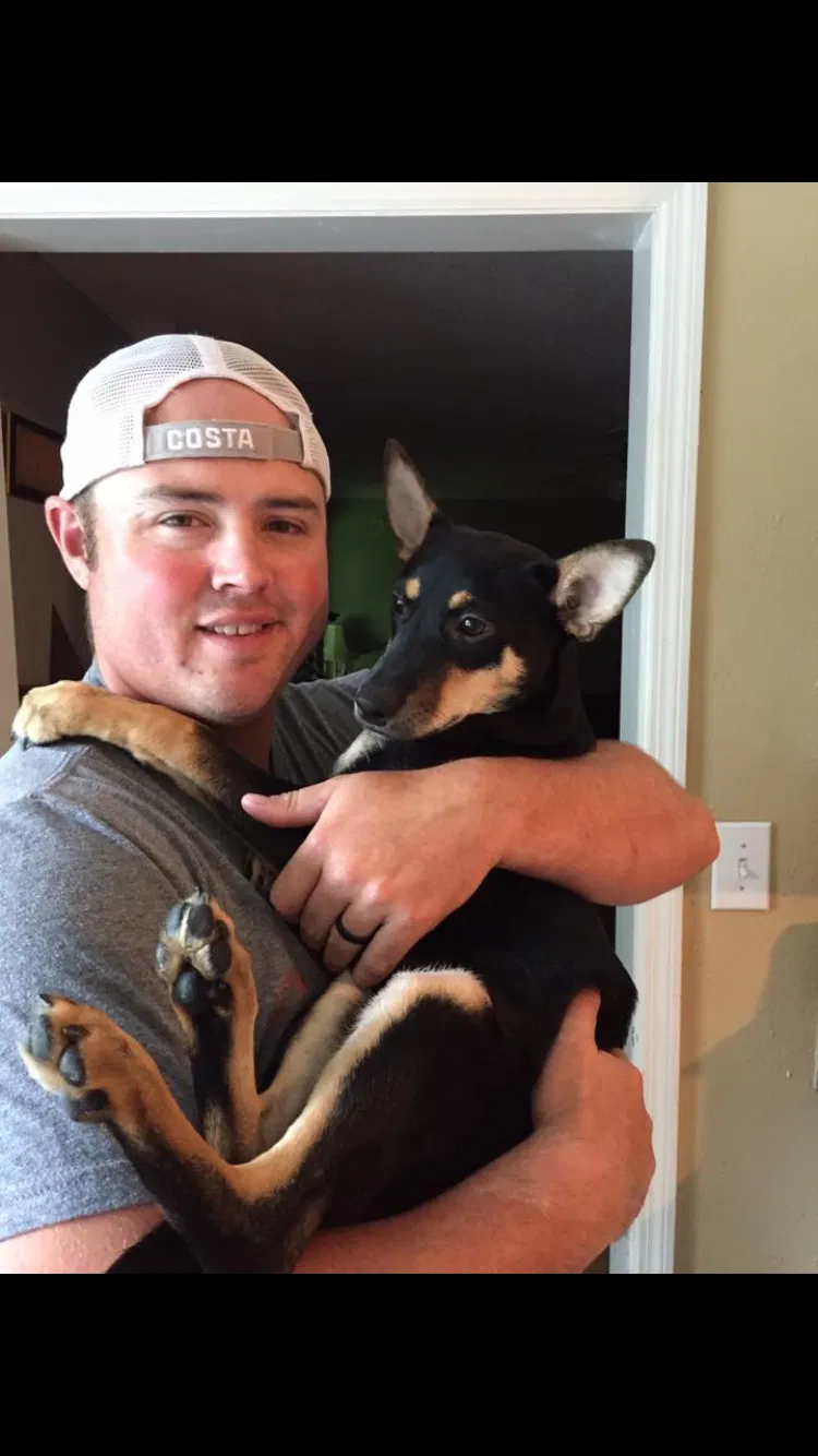 Lost dog in Cleveland, TN, 37312