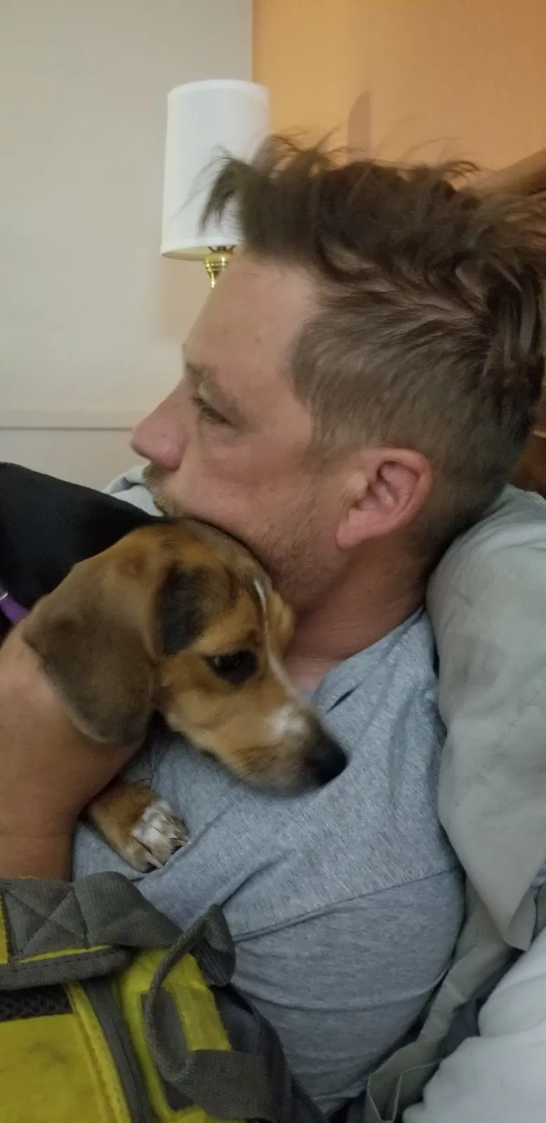 Lost dog in Atlanta, GA, 30313