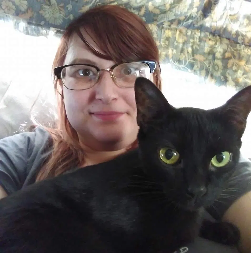 Lost cat in Summerfield, NC, 27358