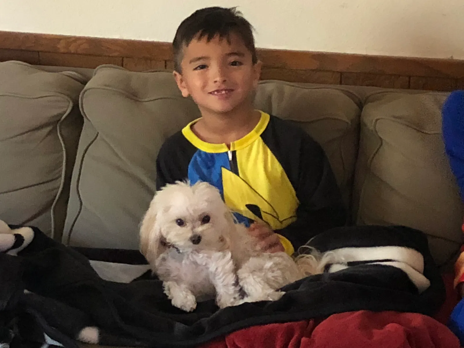 Lost dog in Roseville, CA, 95661