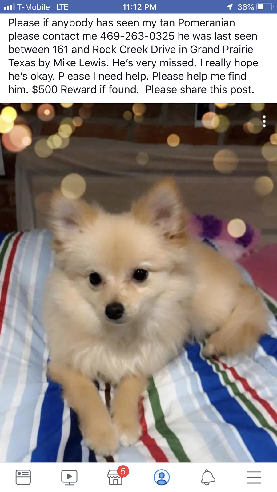 Lost dog in Grand Prairie, TX, 75050