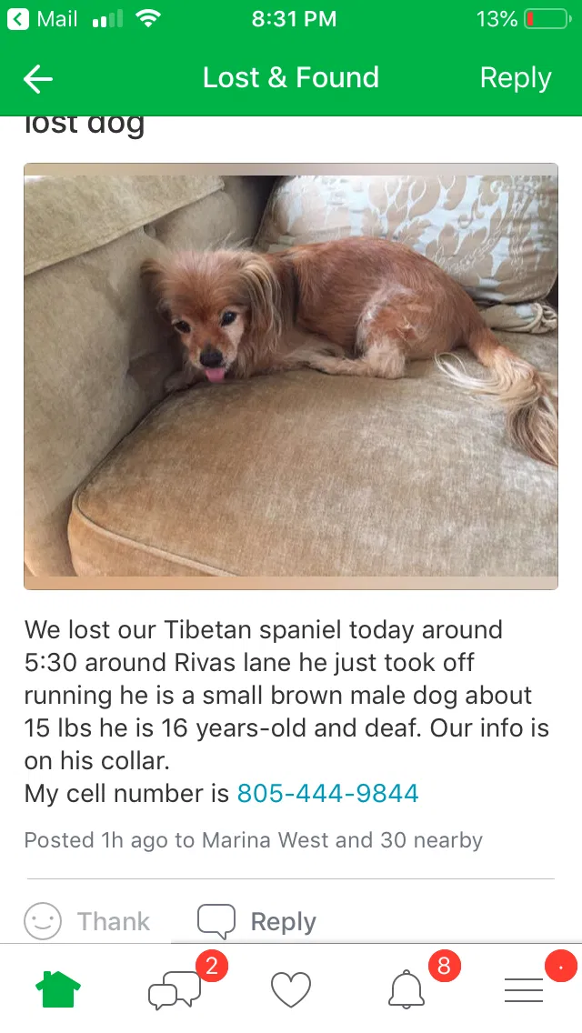 Lost dog in Oxnard, CA, 93035