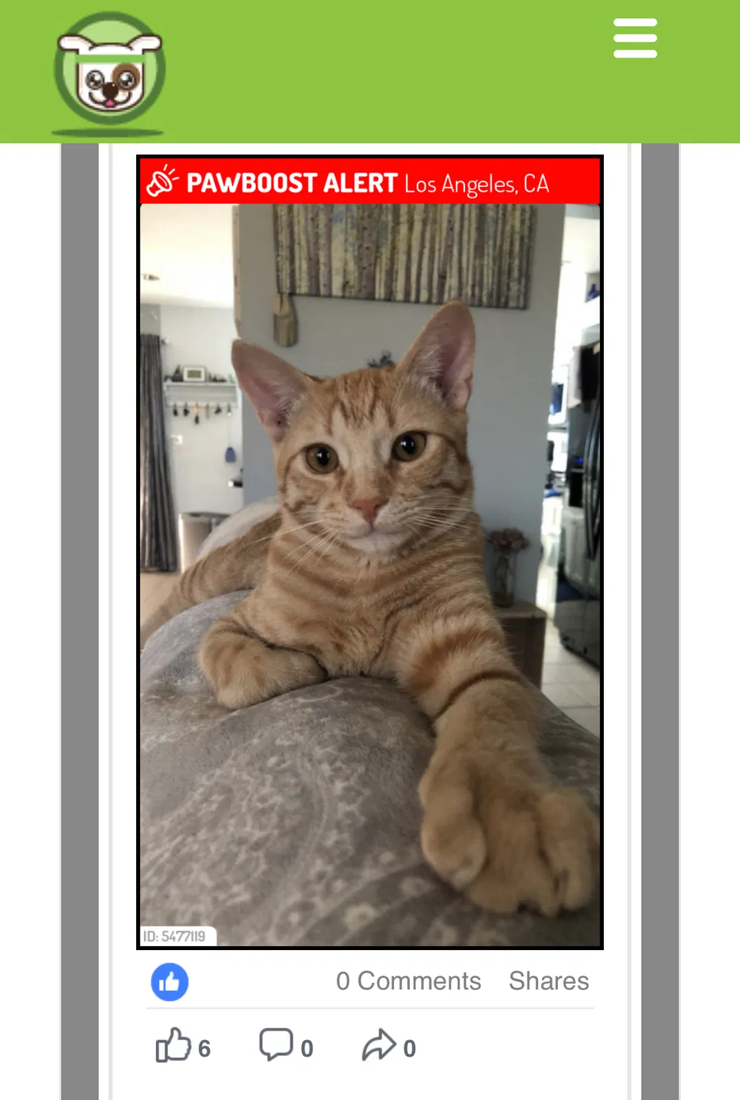 Lost cat in Sylmar, CA, 91342