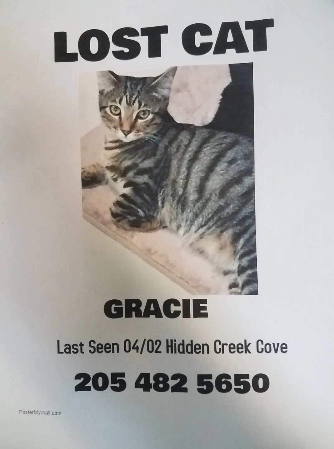 Lost cat in Pelham, AL, 35124