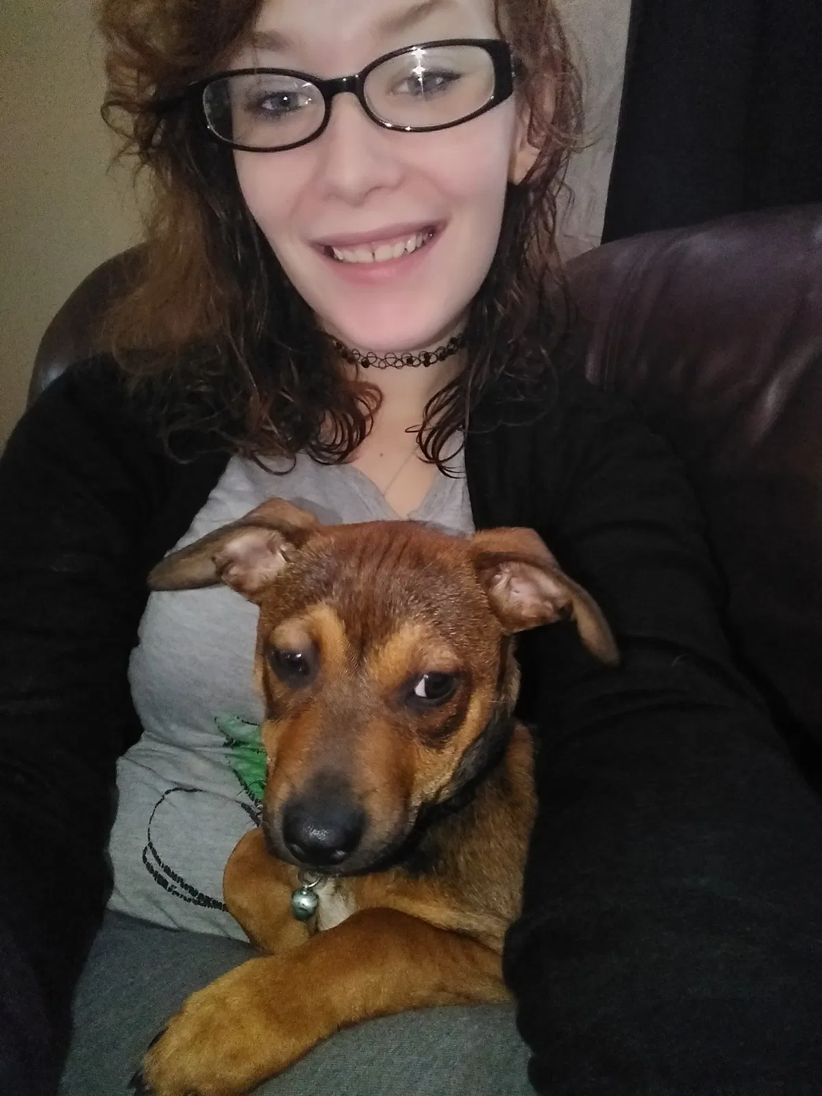 Lost dog in Indianapolis, IN, 46225
