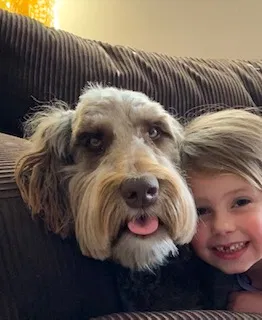 Lost dog in Bloomer, WI, 54724