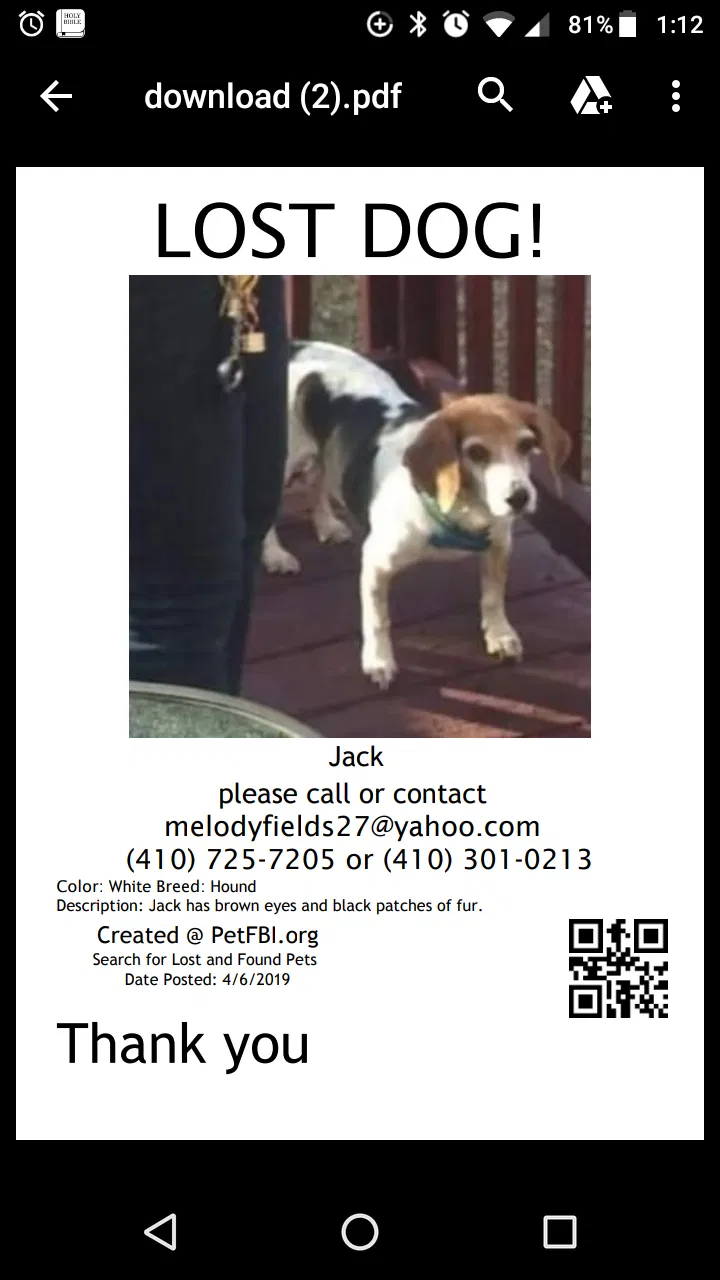 Lost dog in Baltimore, MD, 21213