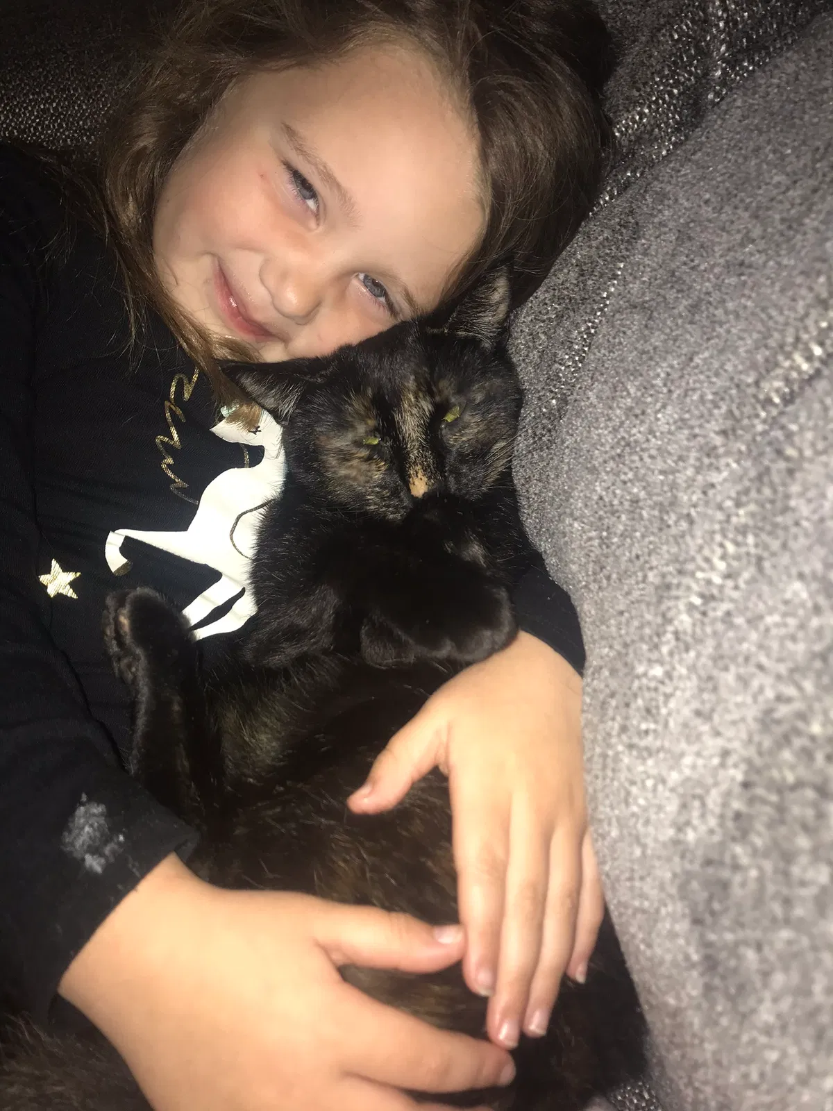 Lost cat in Roseville, CA, 95661