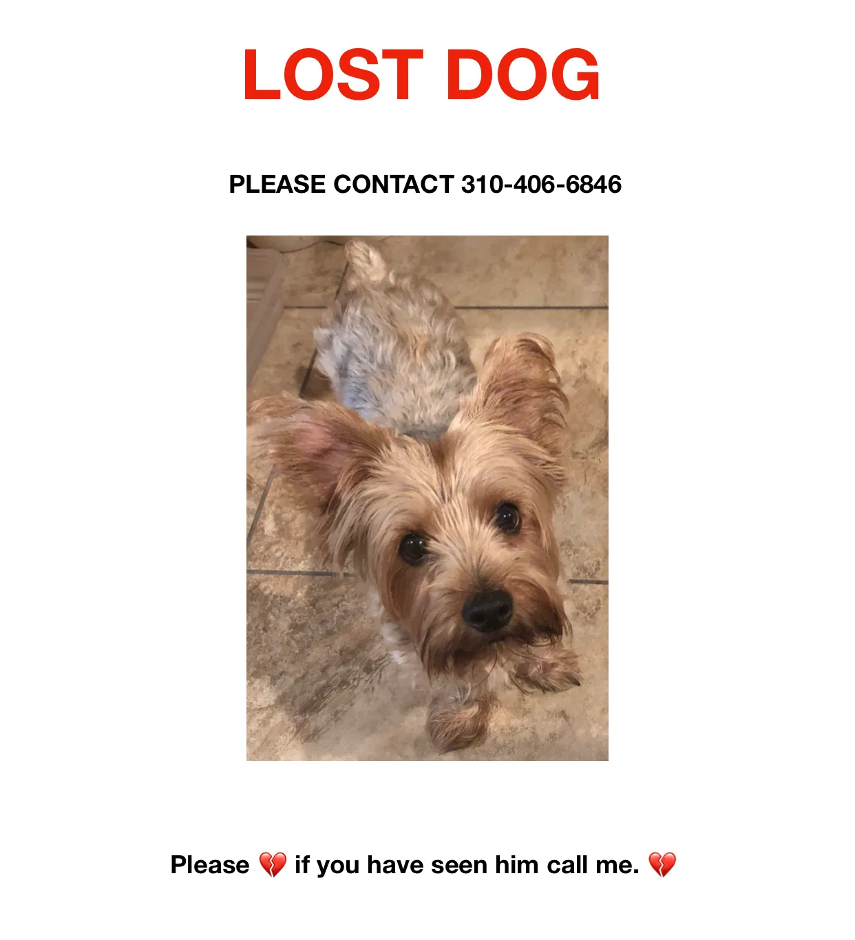Lost dog in Edinburg, TX, 78539