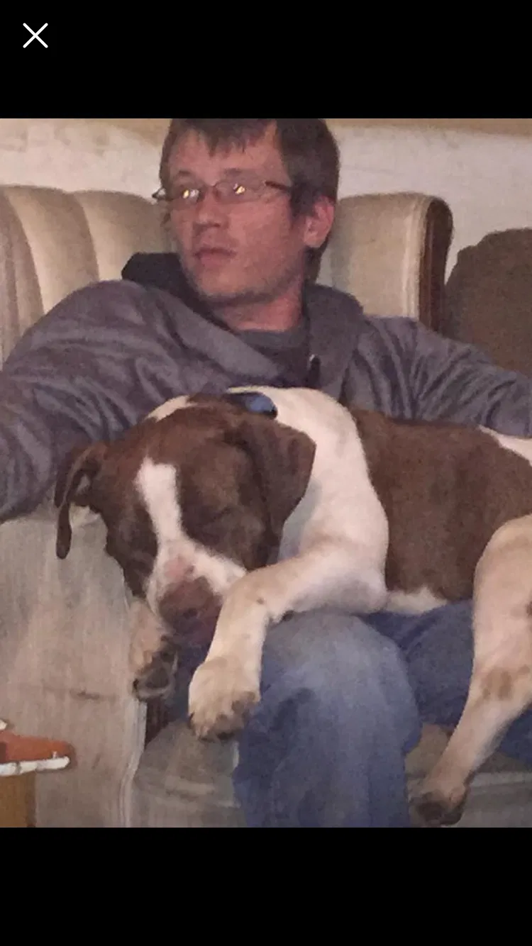 Lost dog in Forest, MS, 39074