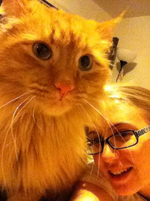 Lost cat in Lubbock, TX, 79414