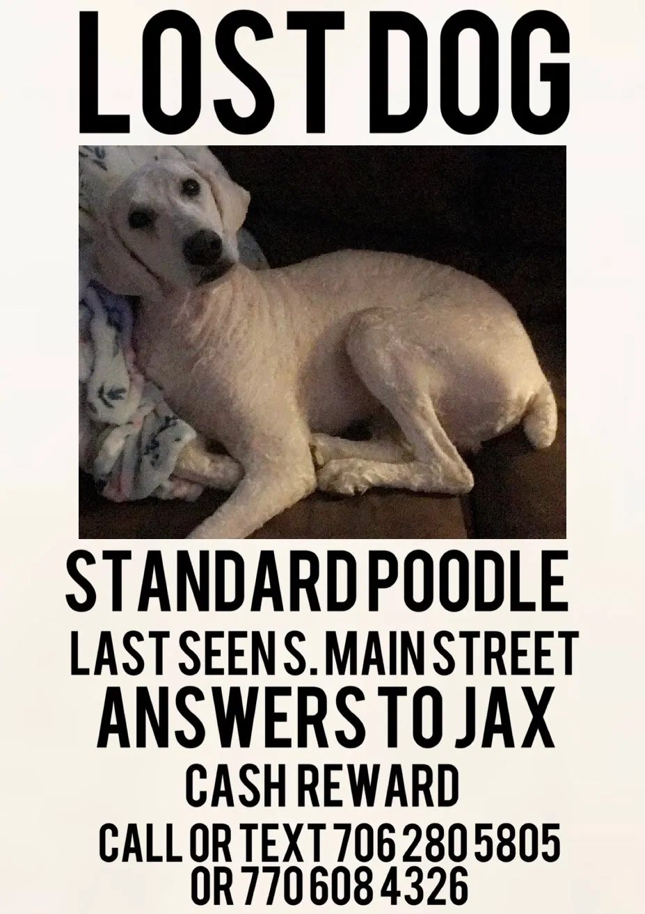 Lost dog in Adairsville, GA, 30103