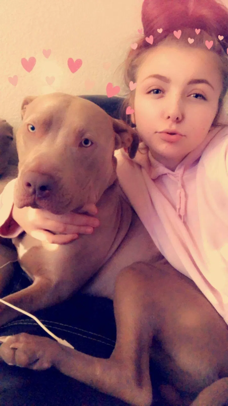 Lost dog in Yuba City, CA, 95991