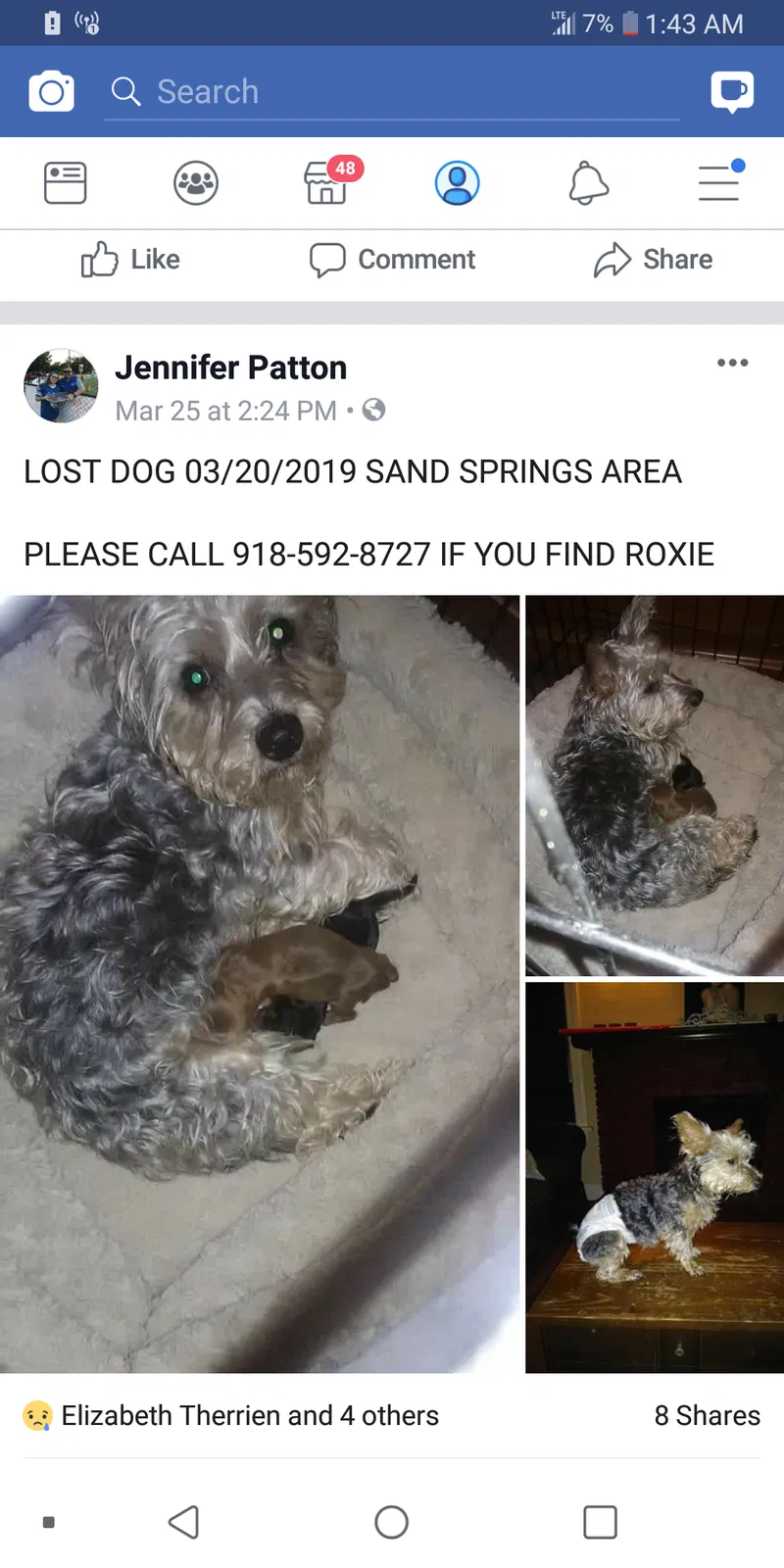 Lost dog in Sand Springs, OK, 74063