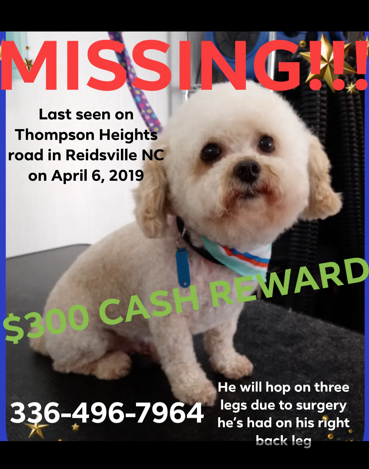 Lost dog in Reidsville, NC, 27320