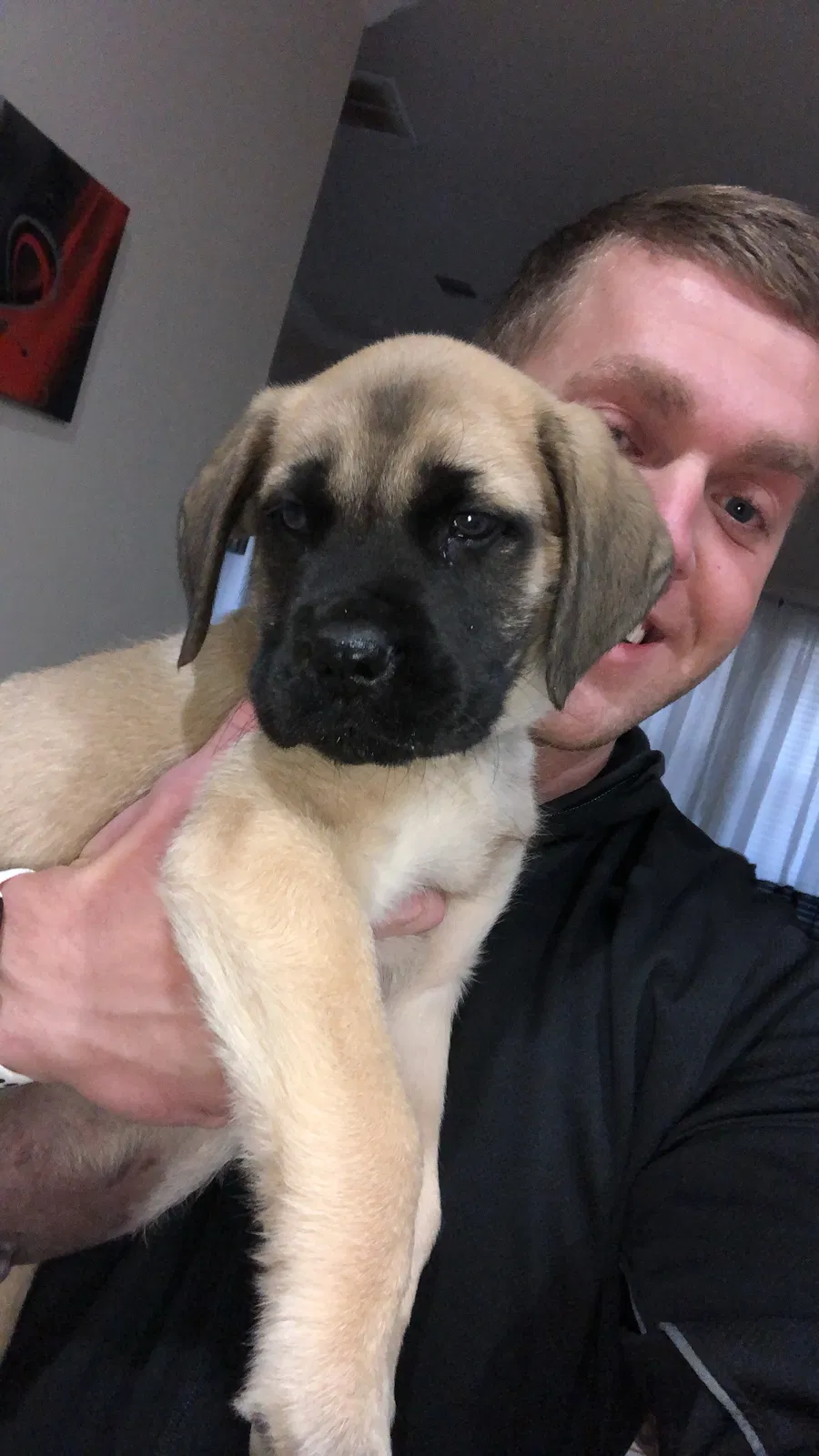 Lost dog in Lubbock, TX, 79407