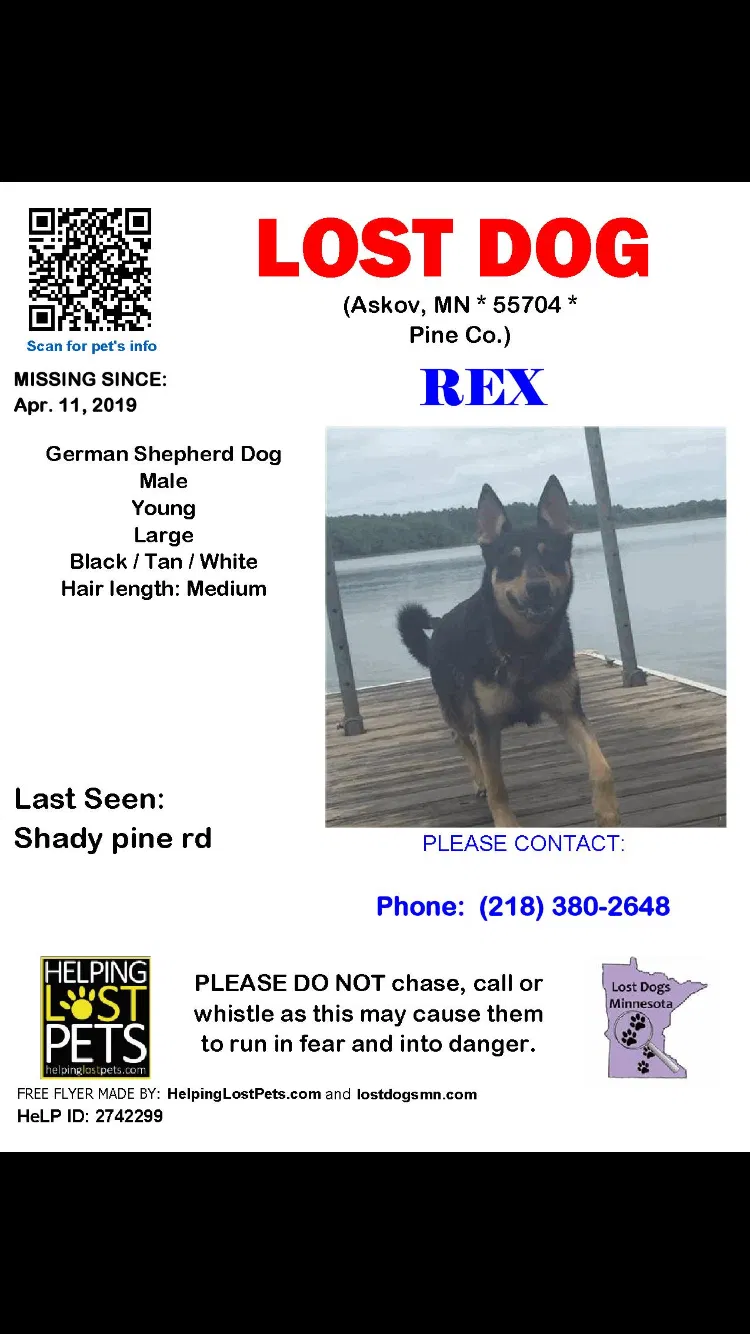 Lost dog in Bruno, MN, 55712